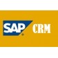 SAP CRM FUNCTIONAL + TECNICAL